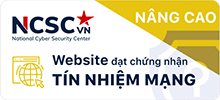 vn123