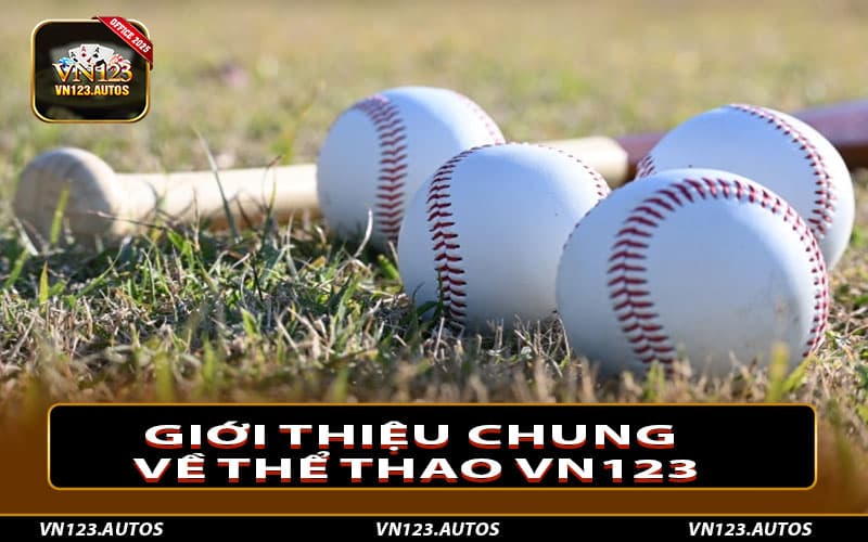 Giới thiệu chung về thể thao Vn123